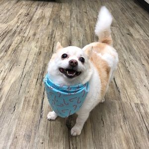 Meet your Posher, Jake